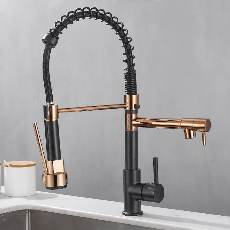 AurumFlow Dual Spout Kitchen Faucet in Black and Gold