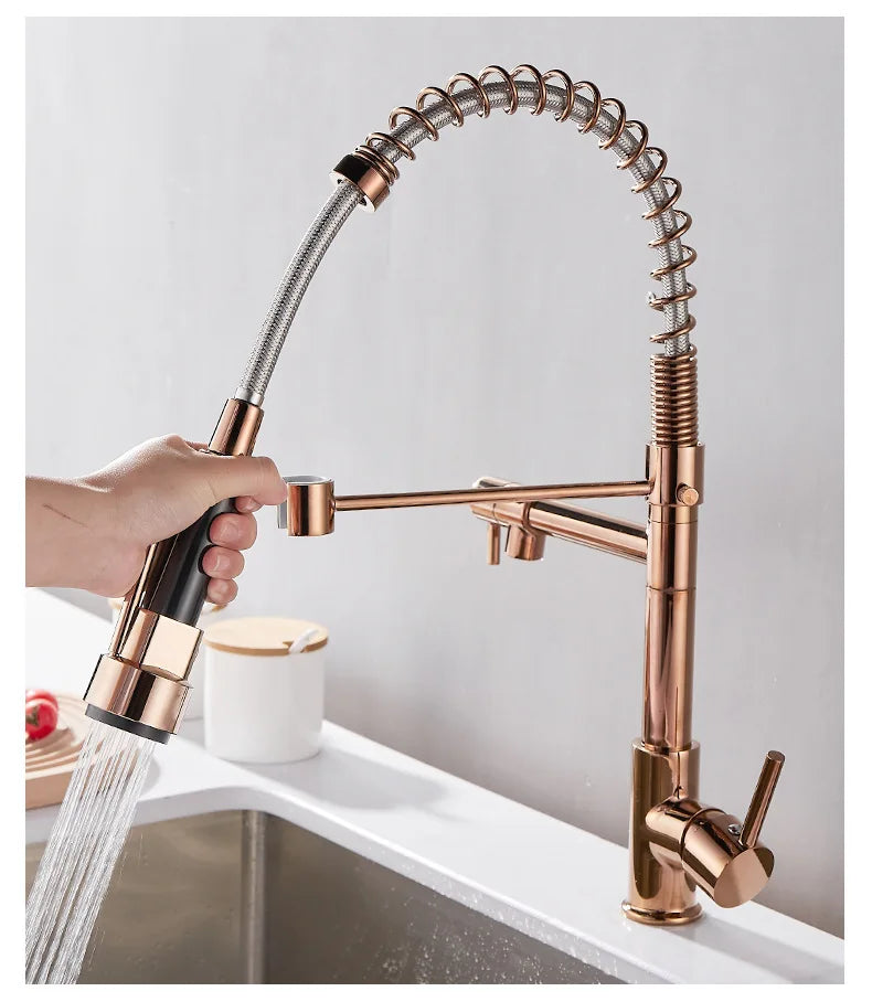 AurumFlow Dual Spout Kitchen Faucet in Black and Gold