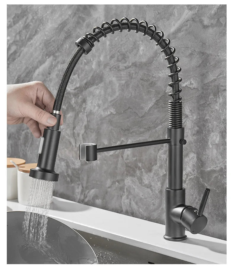 AurumFlow Dual Spout Kitchen Faucet in Black and Gold
