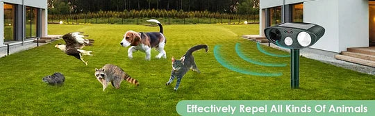 Répulsif à ultrasons FloraGuard pour cerfs activé par mouvement