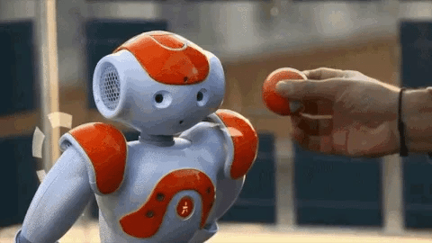 NovaLink AI Robot: Advanced Humanoid Companion for Home