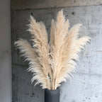 Elowin | Dried Pampas Grass for Boho Home Decor Accent
