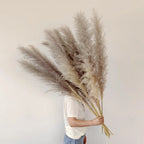 Elowin | Dried Pampas Grass for Boho Home Decor Accent