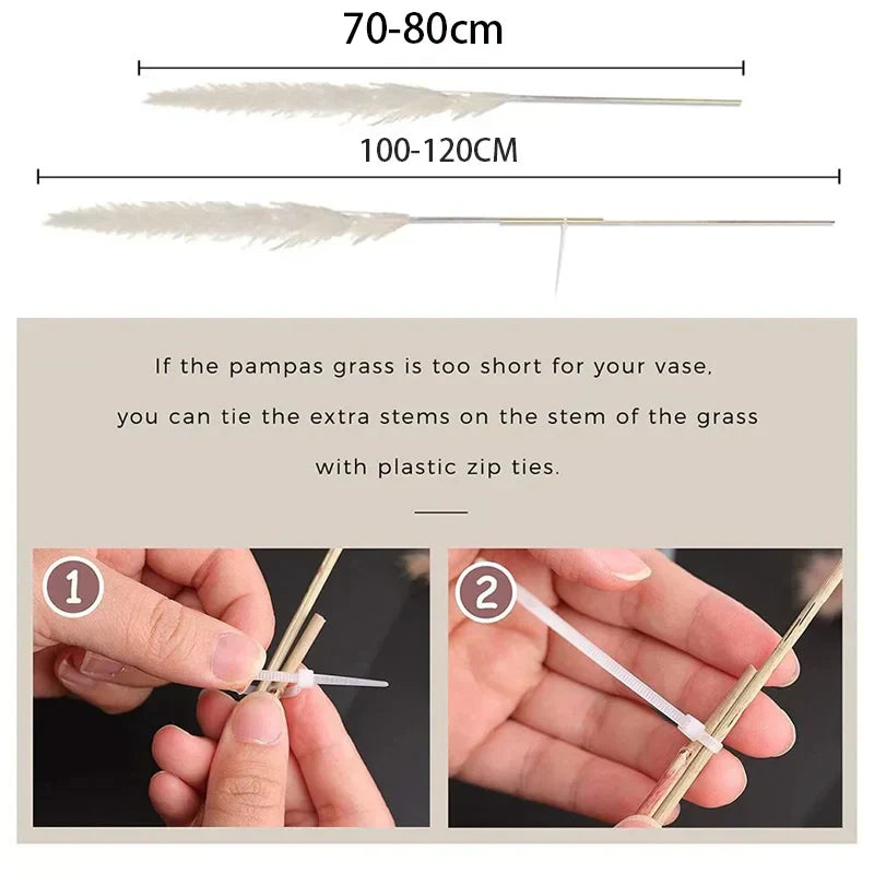 Elowin | Dried Pampas Grass for Boho Home Decor Accent