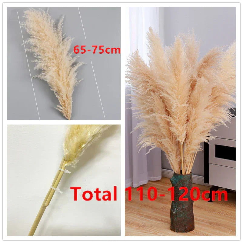 Elowin | Dried Pampas Grass for Boho Home Decor Accent