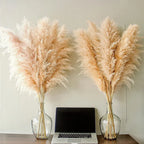 Elowin | Dried Pampas Grass for Boho Home Decor Accent