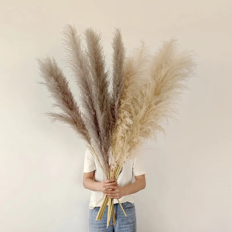 Elowin | Dried Pampas Grass for Boho Home Decor Accent