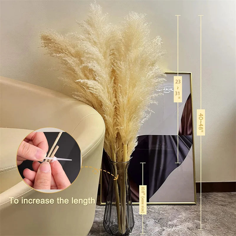 Elowin | Dried Pampas Grass for Boho Home Decor Accent