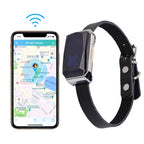 TrailPaws GPS-Halsband-Tracker für Haustiere mit schneller Einrichtung