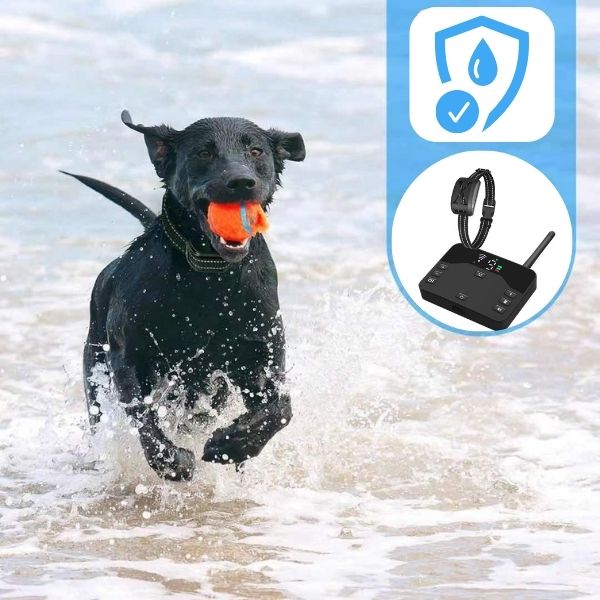 PawGuard 2-in-1 Wireless Dog Collar And Fence System