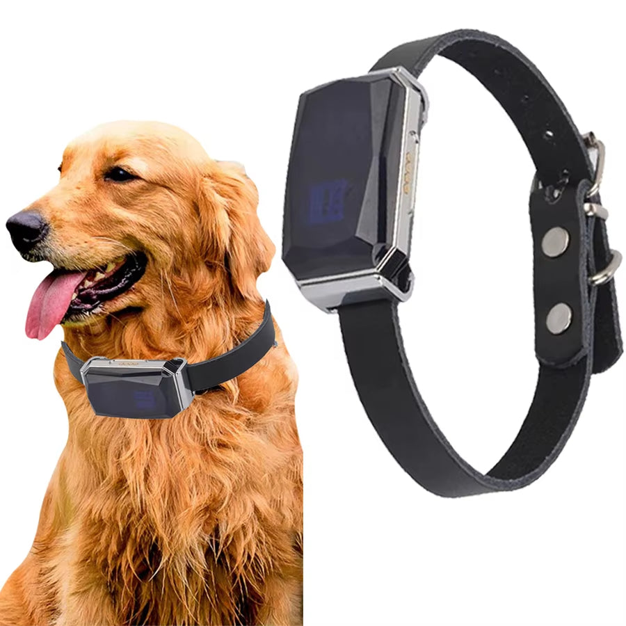 TrailPaws GPS-Halsband-Tracker für Haustiere mit schneller Einrichtung