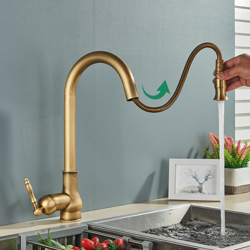 EraTap Antique Brass Kitchen Faucet with Swivel Spout