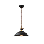 Iriselle Morandi Metal Pendant Light Colorful Glow