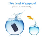 TrailPaws GPS-Halsband-Tracker für Haustiere mit schneller Einrichtung