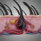 Unexo: Rotes Licht Wachstumskappe - Für Haarwachstum