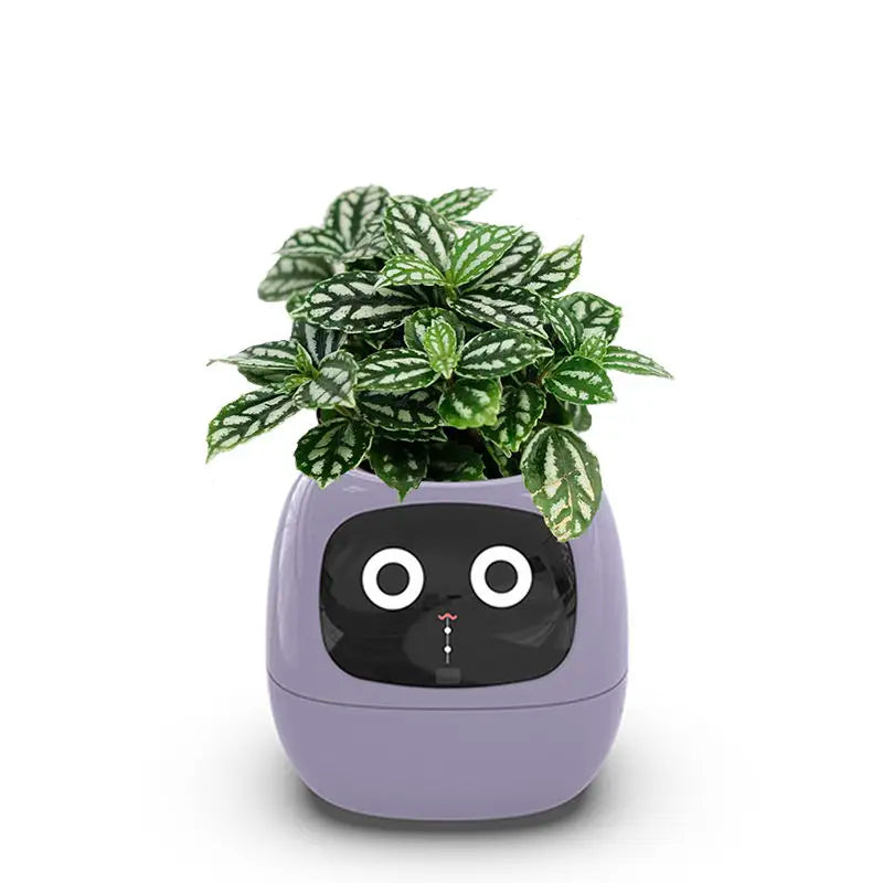 LumaGrow AI Planter: 7 Sensors for Easy Indoor Gardening