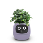 LumaGrow AI Planter: 7 Sensors for Easy Indoor Gardening