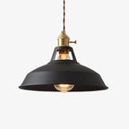 Iriselle Morandi Metal Pendant Light Colorful Glow