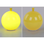 LumaGlobe LED Ceiling Lamp For Bedroom And Living Room