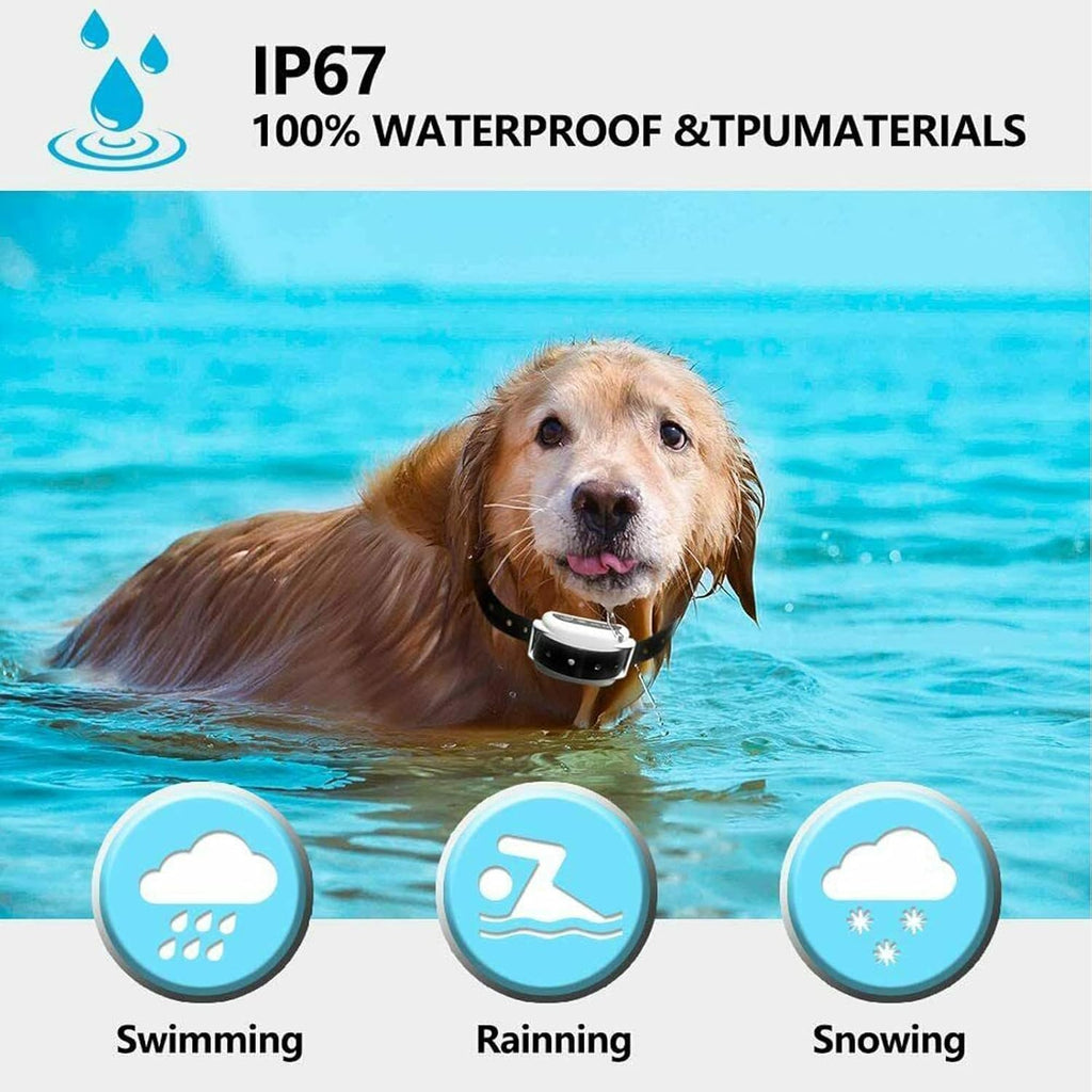 Collare per cane wireless Kairo, impermeabile e ricaricabile