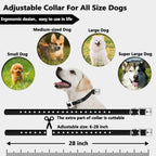 Collare per cane wireless Kairo, impermeabile e ricaricabile