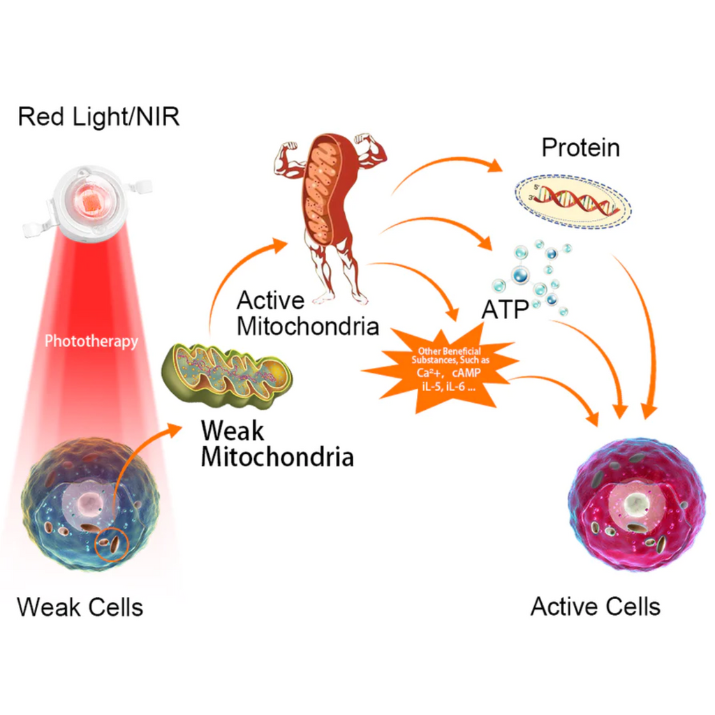 Virelle Arthritis Rotlichttherapie Nahinfrarot-Handschuhe