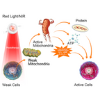 Virelle Arthritis Rotlichttherapie Nahinfrarot-Handschuhe