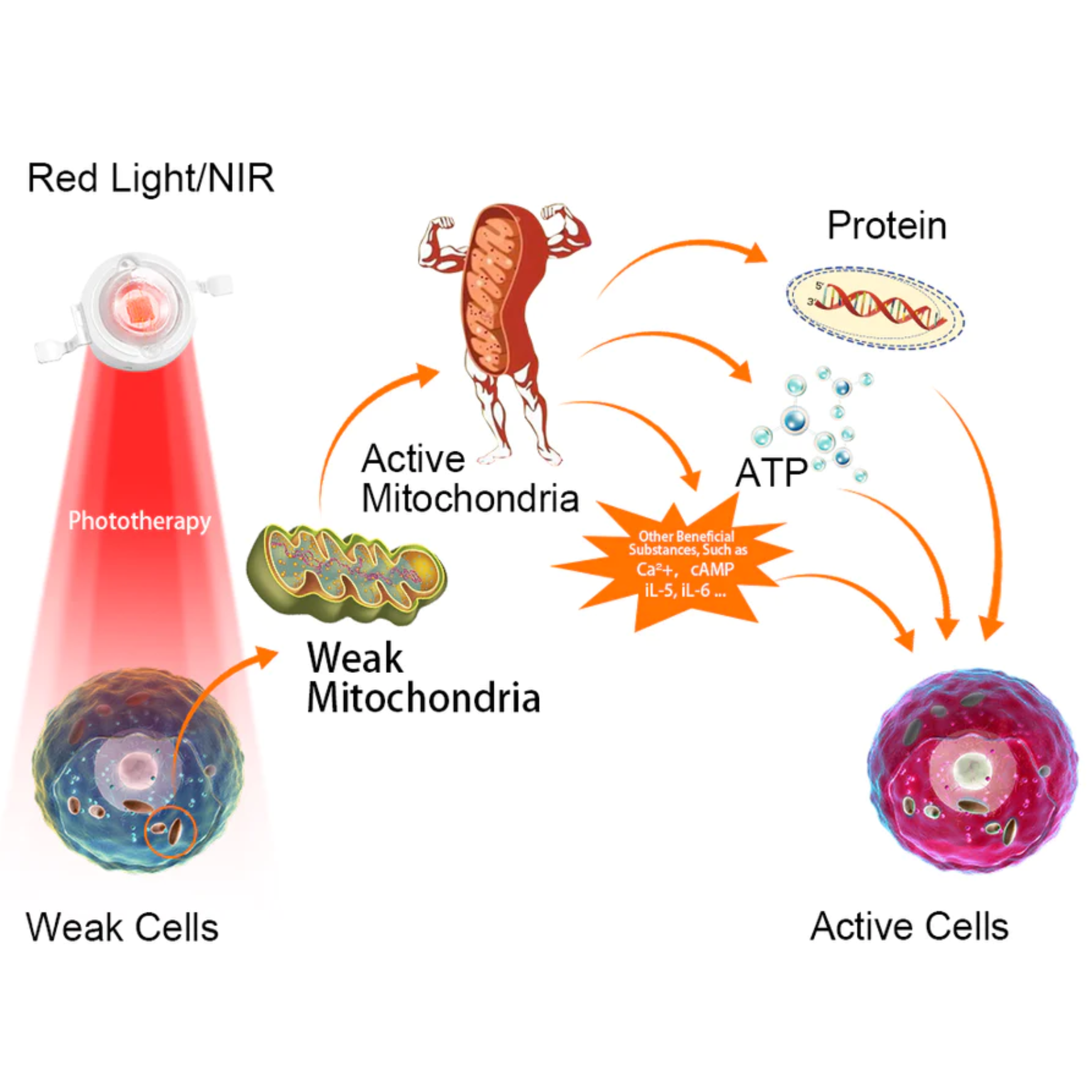 Virelle Arthritis Rotlichttherapie Nahinfrarot-Handschuhe