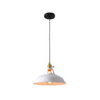 Iriselle Morandi Metal Pendant Light Colorful Glow