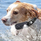 AuroraPaw Remote Dog Training Collar With 3280 Ft Range