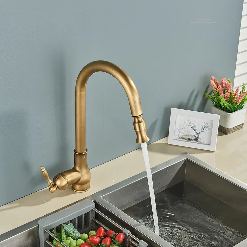 EraTap Antique Brass Kitchen Faucet with Swivel Spout