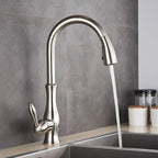 AuroraGleam Gold Kitchen Faucet With Pull-Out Spray