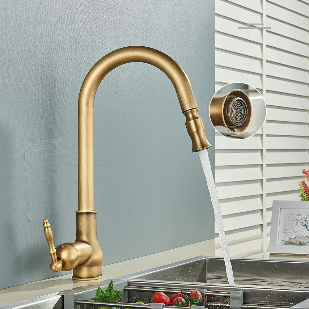 EraTap Antique Brass Kitchen Faucet with Swivel Spout