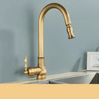 EraTap Antique Brass Kitchen Faucet with Swivel Spout