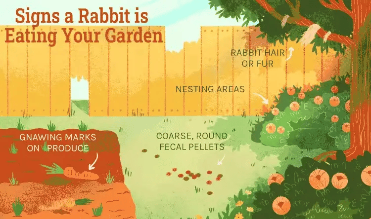 Aurinkokäyttöinen ultraääninen kaniinien karkotin vilkkuvällä valolla