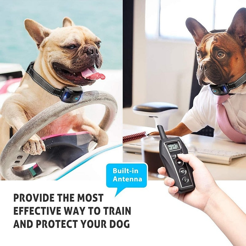 NovaPaw No Shock Training Collar With Remote Long Range