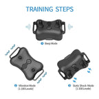 AstraPaw Remote Dog Training Collar Beep Vibration Shock