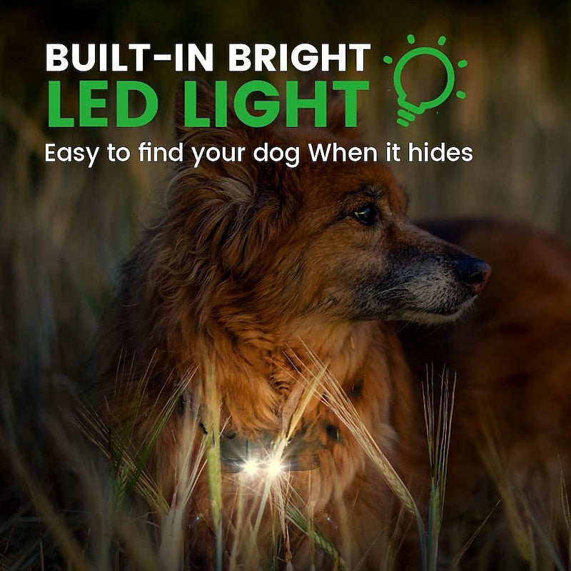 LumaPaw Pro Hundetrainingshalsband mit LED-Lichtsignalgeber