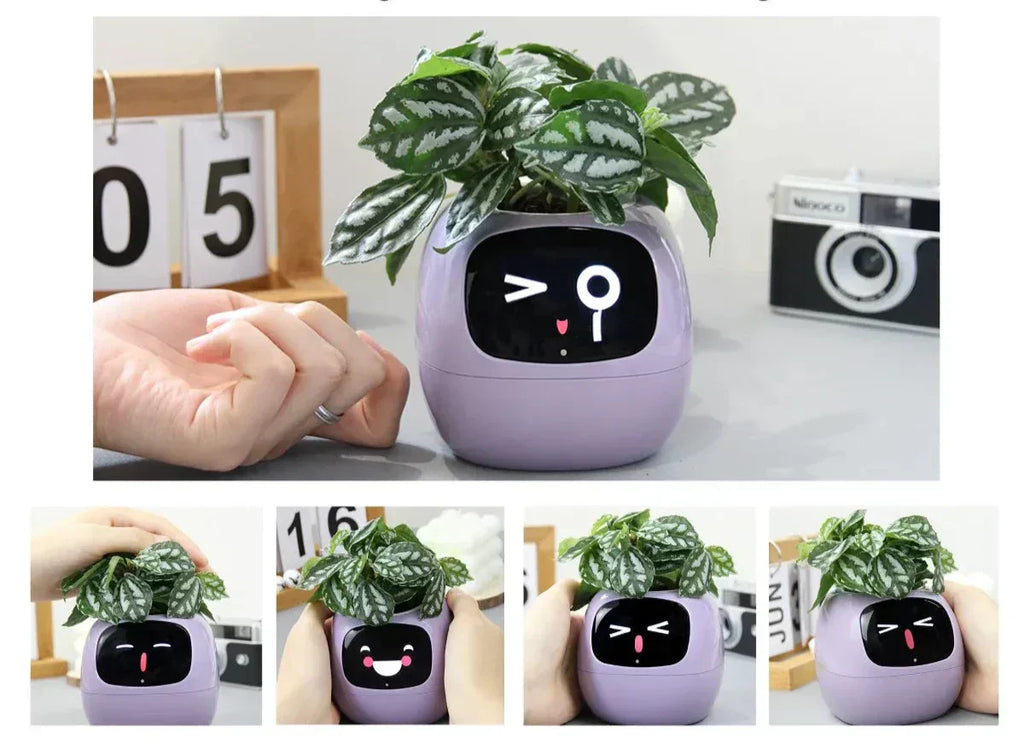 NovaGrow Smart Planter With 49 Expressions And AI Sensors