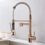 AurumFlow Dual Spout Kitchen Faucet in Black and Gold
