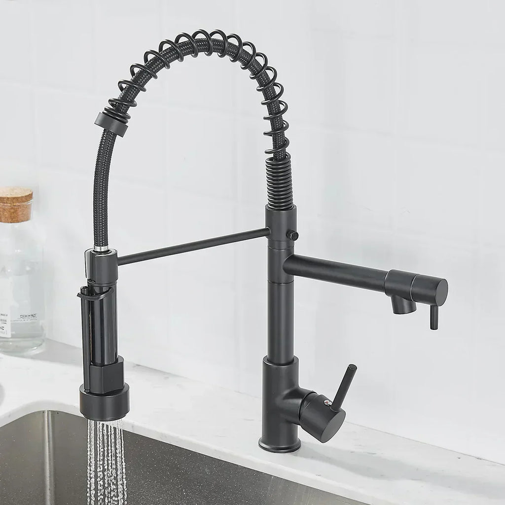 AurumFlow Dual Spout Kitchen Faucet in Black and Gold