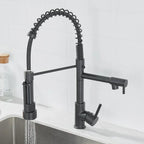 AurumFlow Dual Spout Kitchen Faucet in Black and Gold
