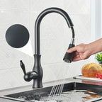AuroraGleam Gold Kitchen Faucet With Pull-Out Spray