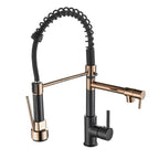 AurumFlow Dual Spout Kitchen Faucet in Black and Gold