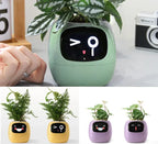 NovaGrow Smart Planter With 49 Expressions And AI Sensors