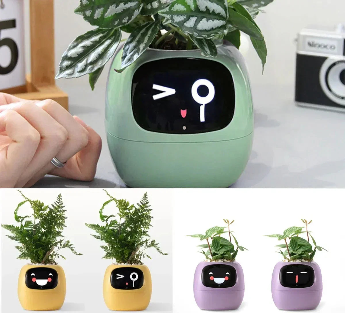 NovaGrow Smart Planter With 49 Expressions And AI Sensors