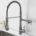 AurumFlow Dual Spout Kitchen Faucet in Black and Gold