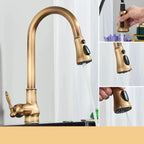 EraTap Antique Brass Kitchen Faucet with Swivel Spout