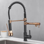AurumFlow Dual Spout Kitchen Faucet in Black and Gold