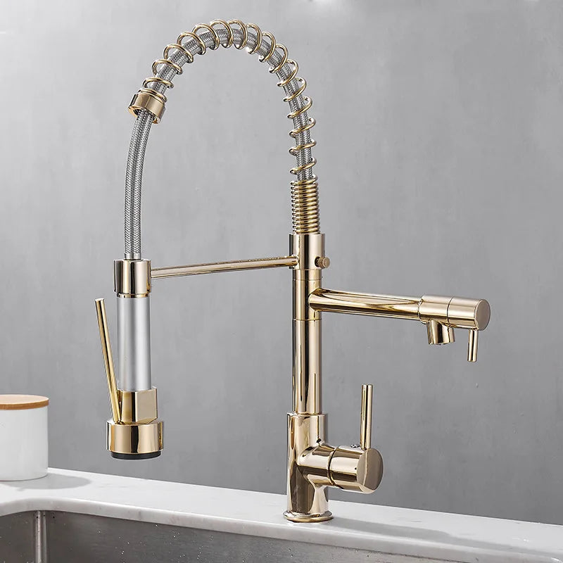 AurumFlow Dual Spout Kitchen Faucet in Black and Gold